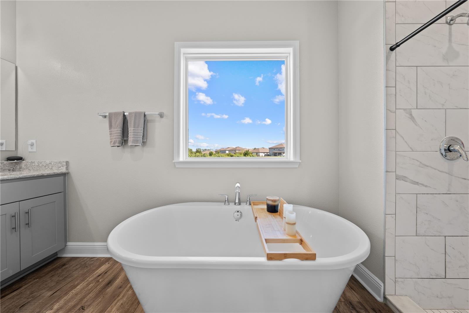 31041 JAZZ LEAF PL, SAN ANTONIO, FL, 33576