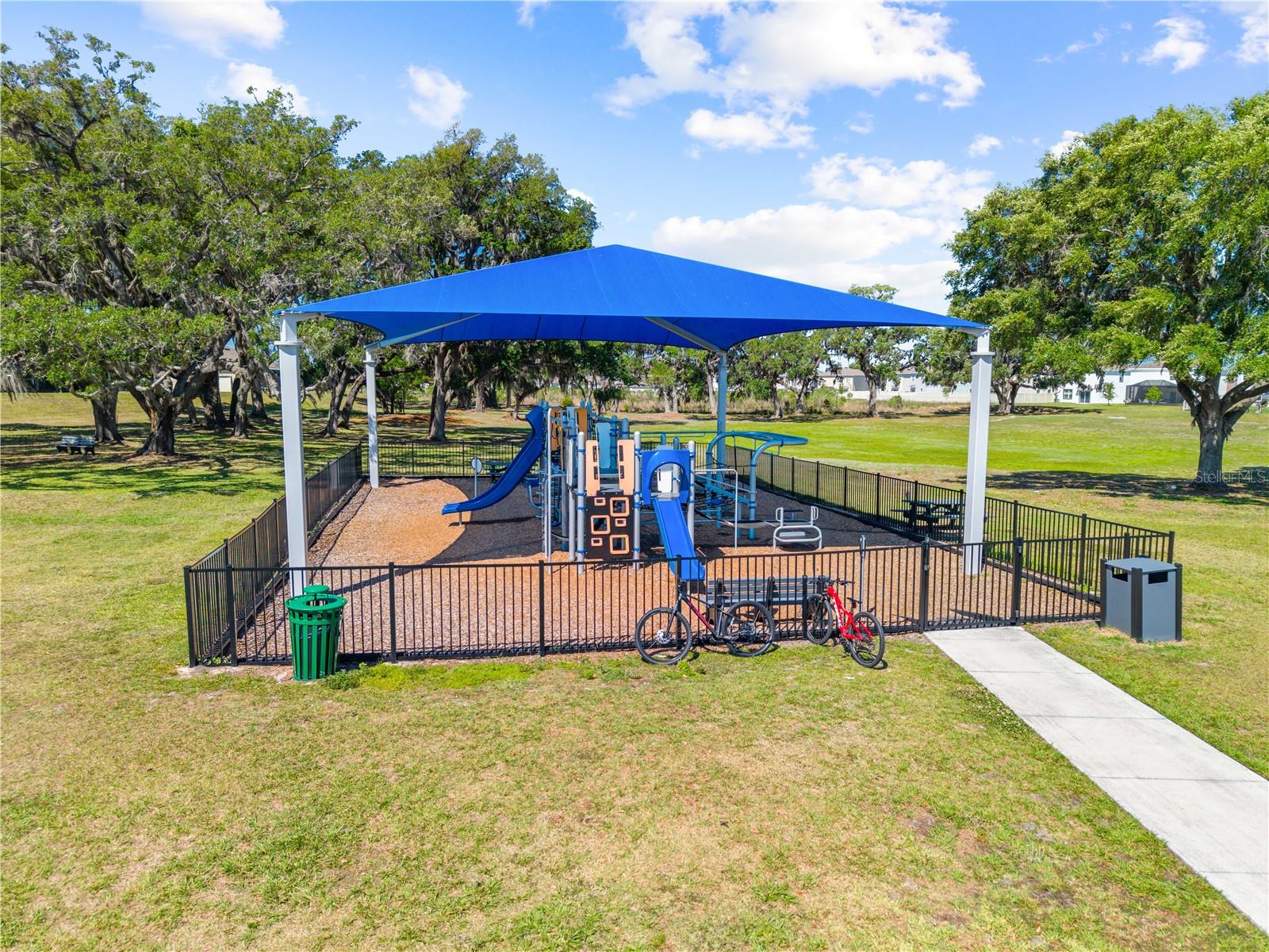 31041 JAZZ LEAF PL, SAN ANTONIO, FL, 33576