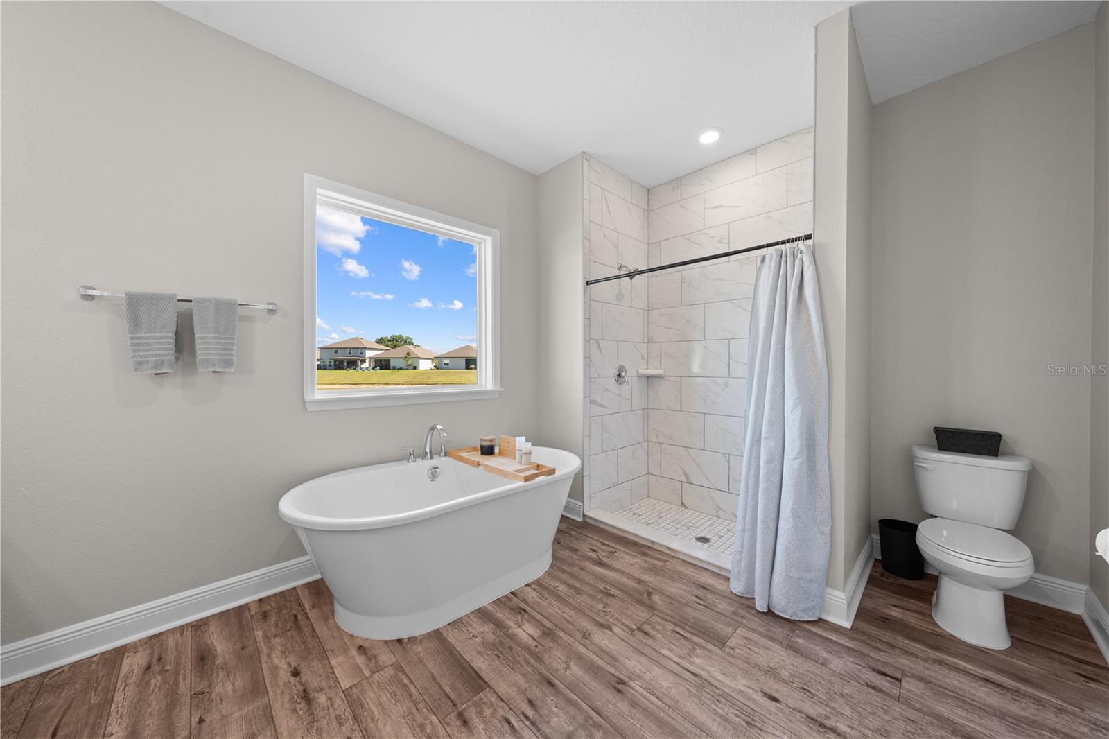 31041 JAZZ LEAF PL, SAN ANTONIO, FL, 33576