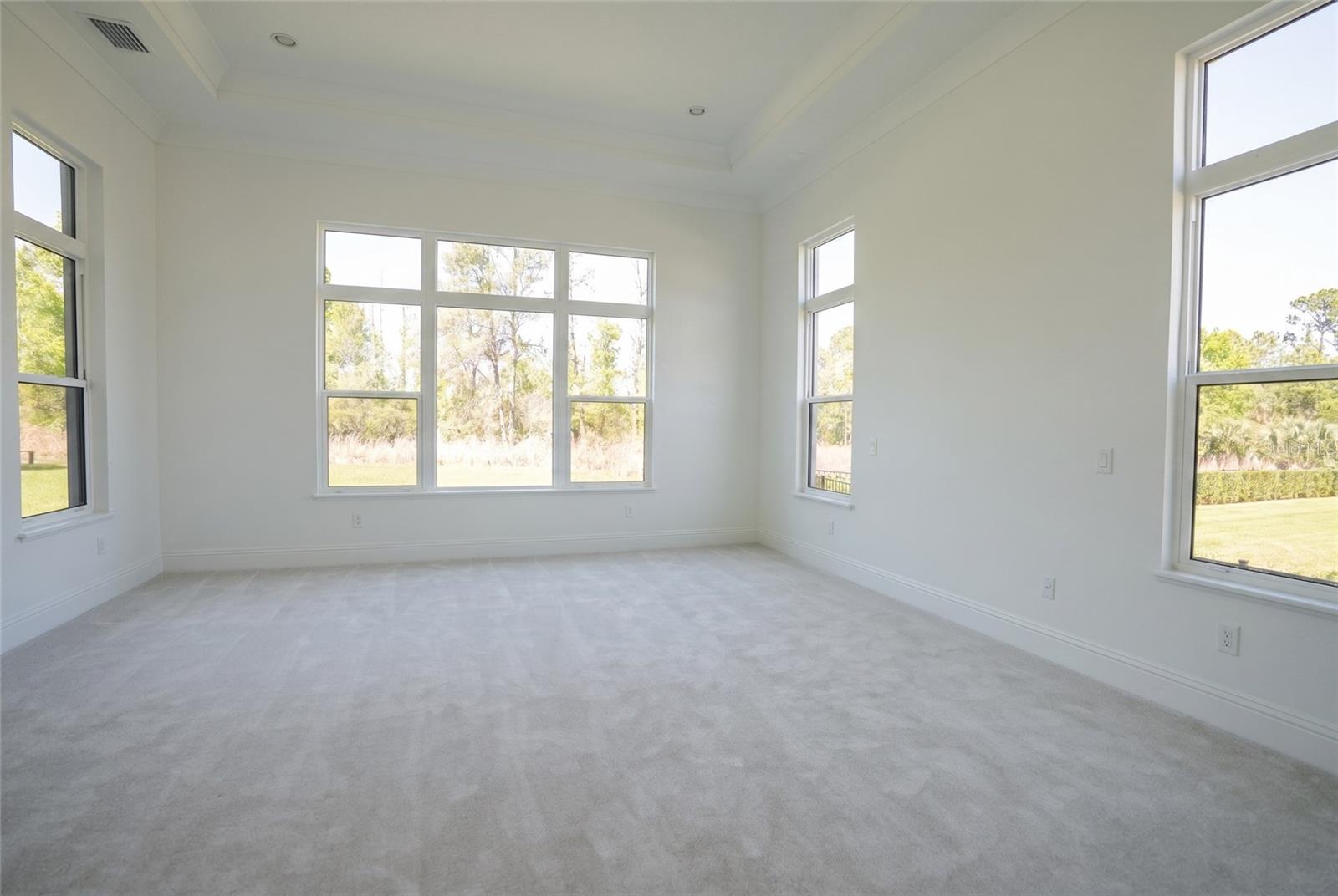 16000 PENDIO DR, BELLA COLLINA, FL, 34756