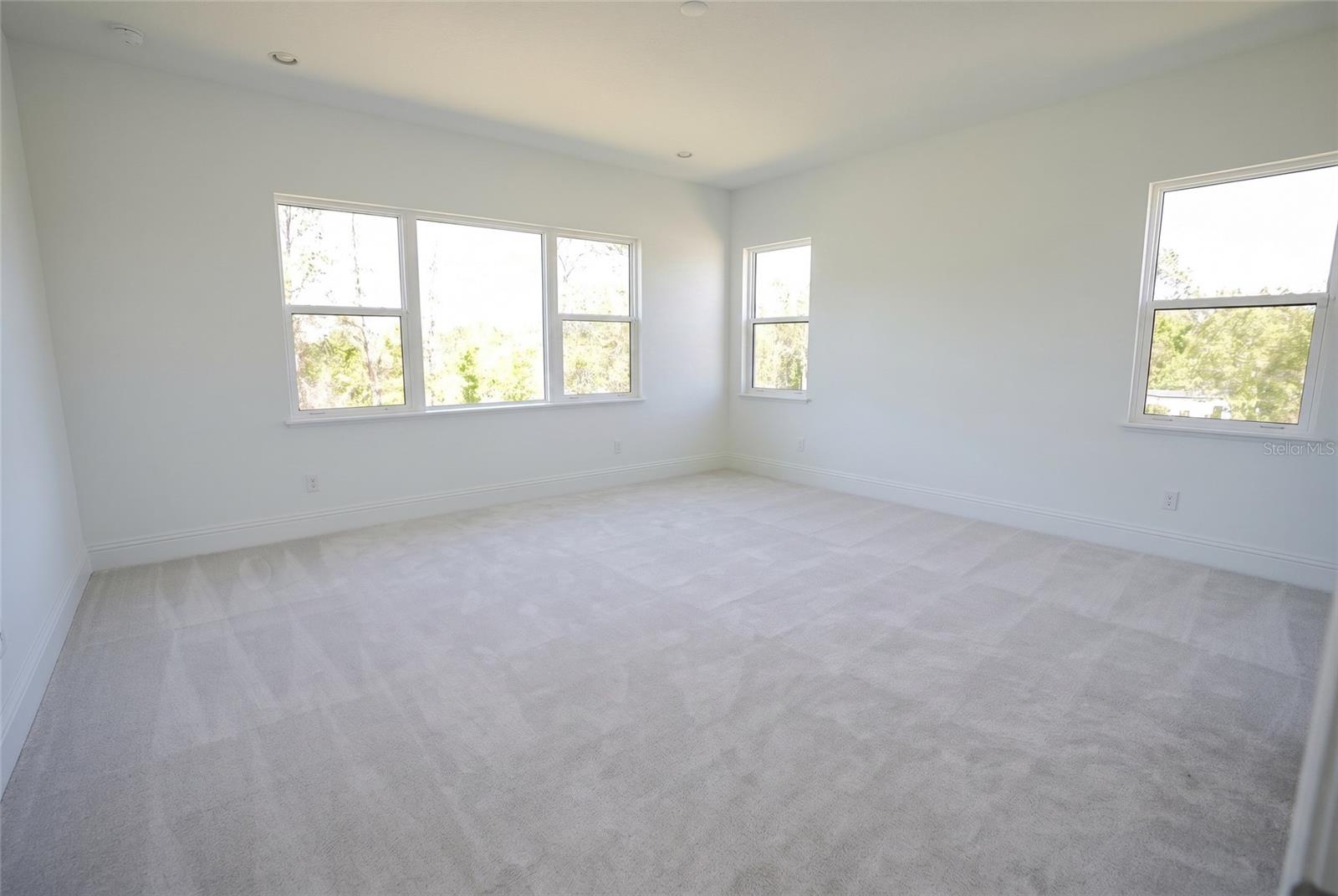16000 PENDIO DR, BELLA COLLINA, FL, 34756