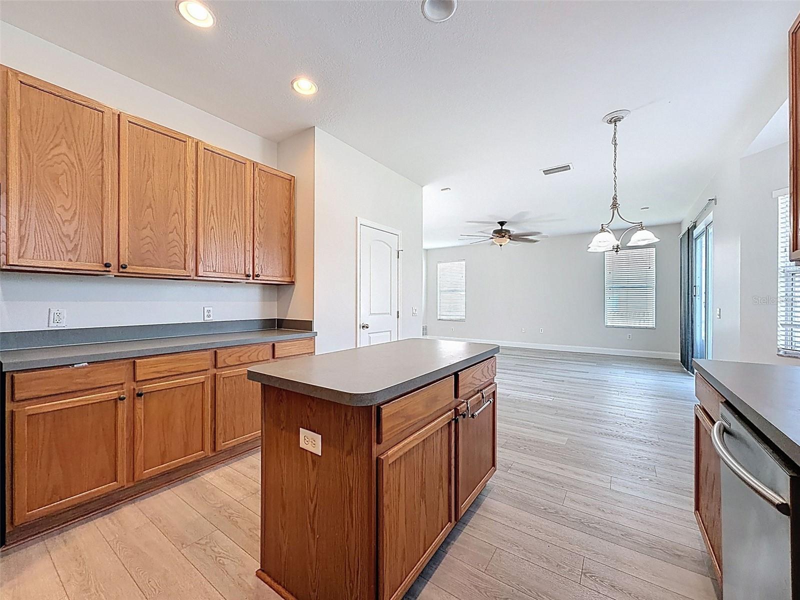 3311 SISAL LOOP, WESLEY CHAPEL, FL, 33544