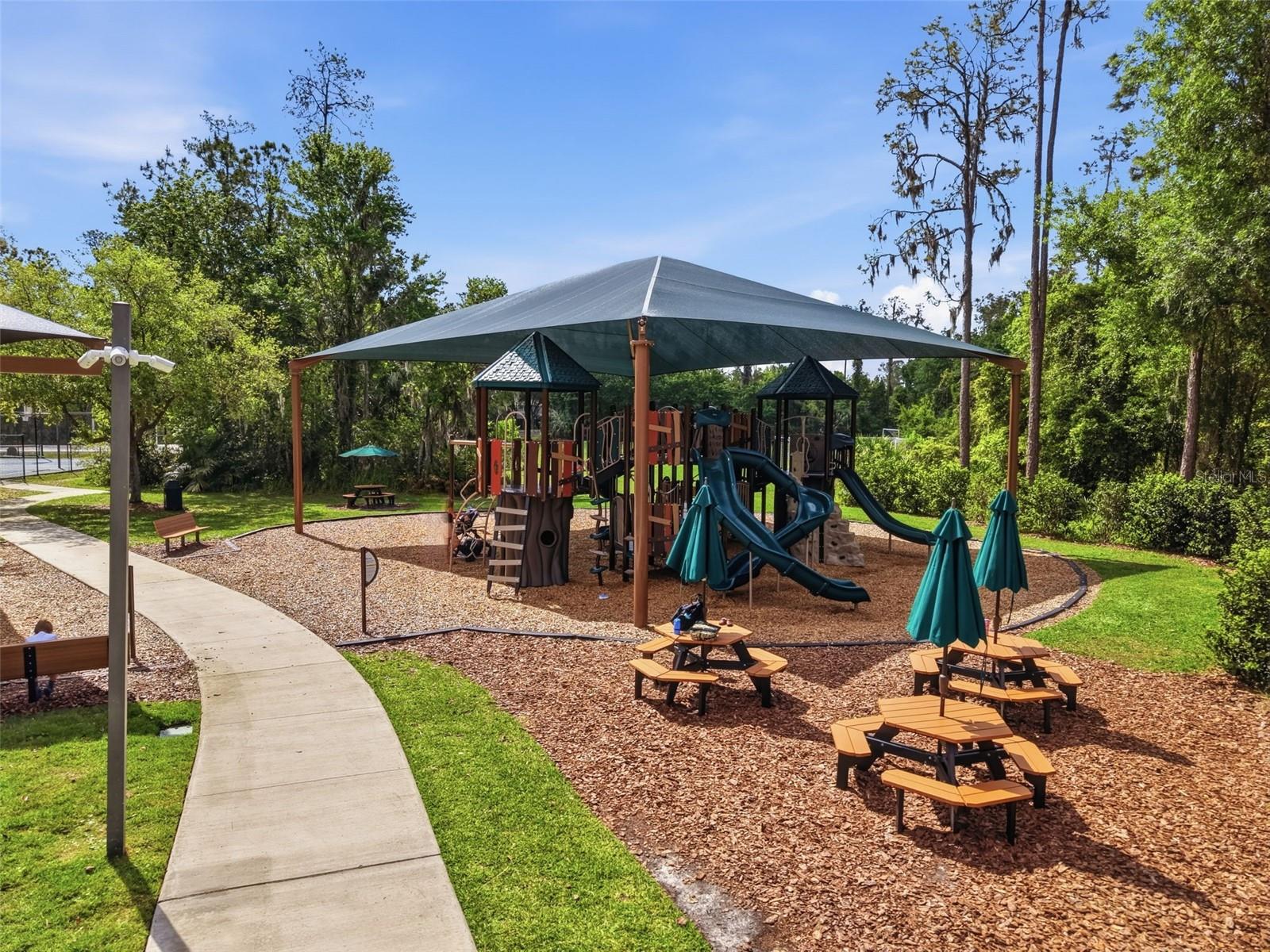 3311 SISAL LOOP, WESLEY CHAPEL, FL, 33544