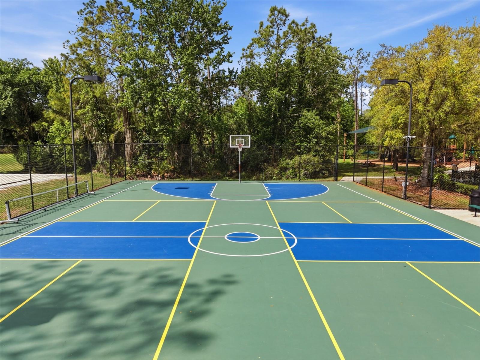 3311 SISAL LOOP, WESLEY CHAPEL, FL, 33544