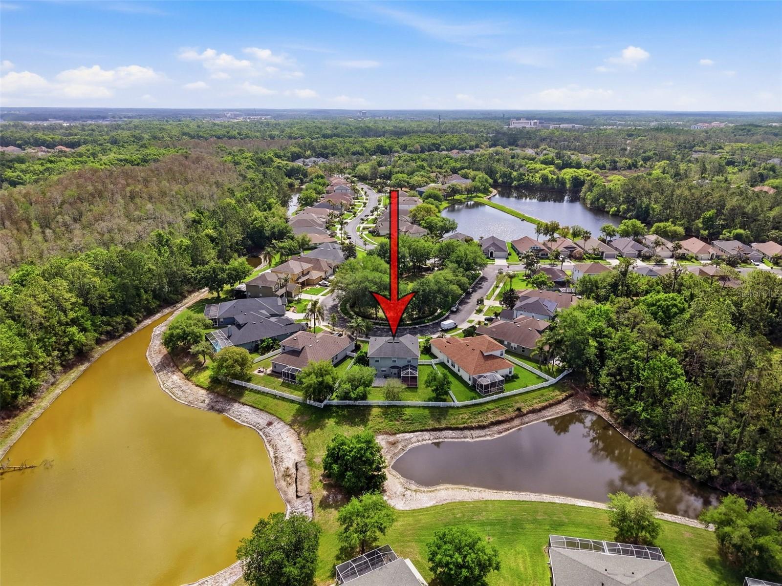 3311 SISAL LOOP, WESLEY CHAPEL, FL, 33544