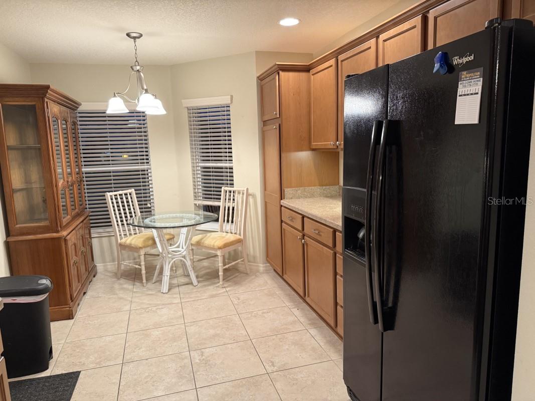 1097 HOLLYHOCK WAY, THE VILLAGES, FL, 32163