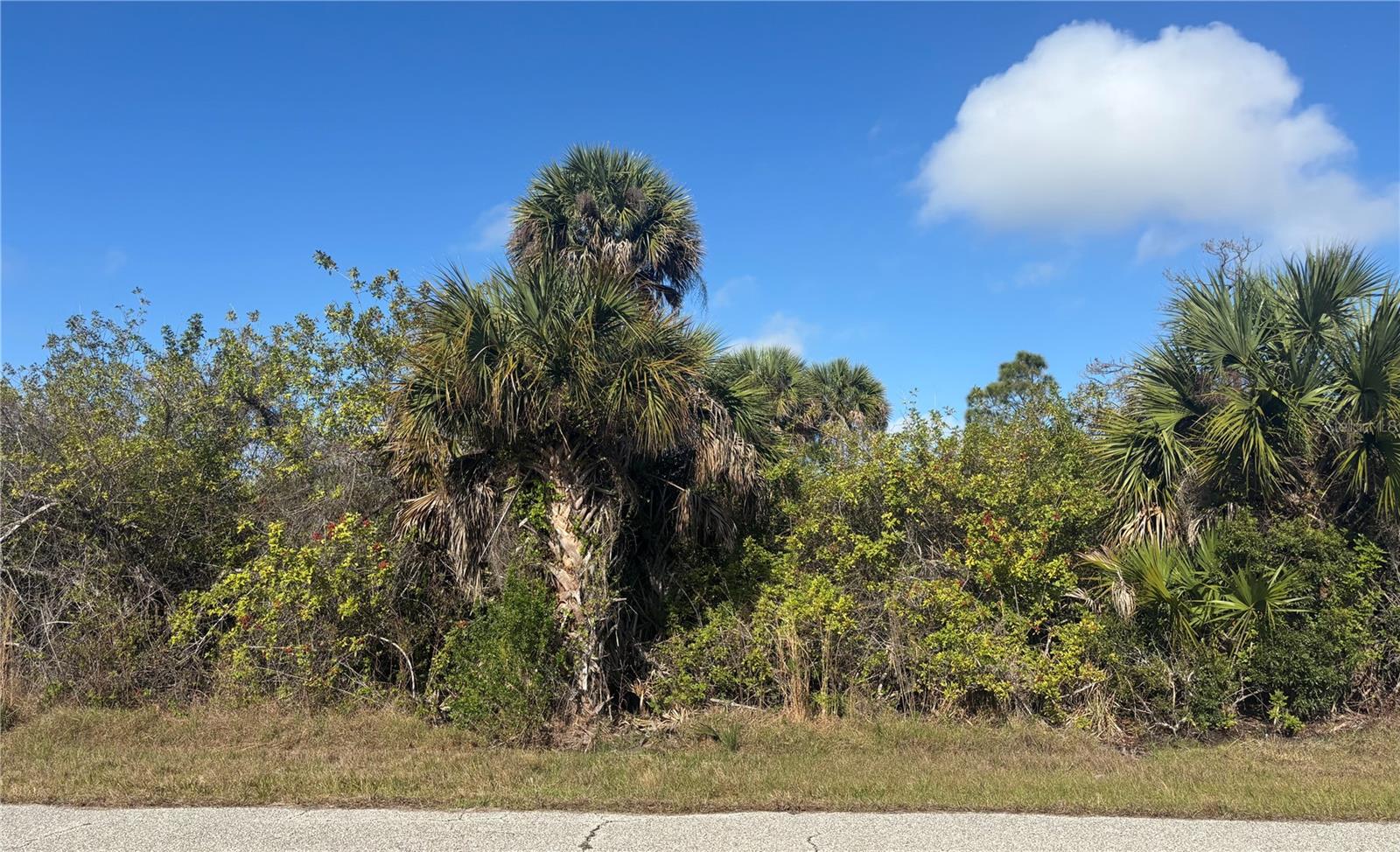 7099 EMBRY ST, PORT CHARLOTTE, FL, 33981