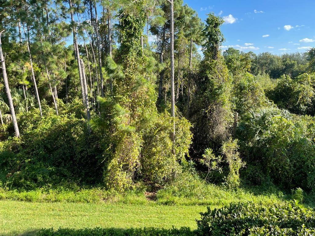 3153 CAPRI ISLE WAY, ORLANDO, FL, 32835