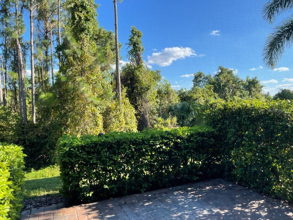 3153 CAPRI ISLE WAY, ORLANDO, FL, 32835
