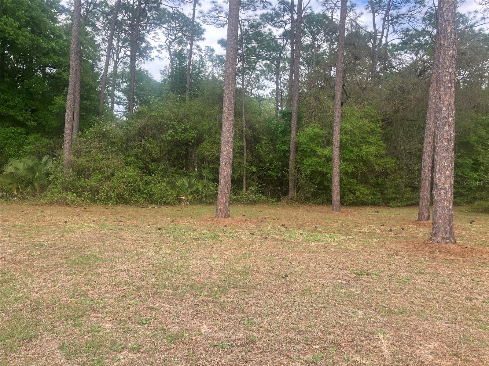 SE 19th Place SE 19TH PLACE, SILVER SPRINGS, FL, 34488
