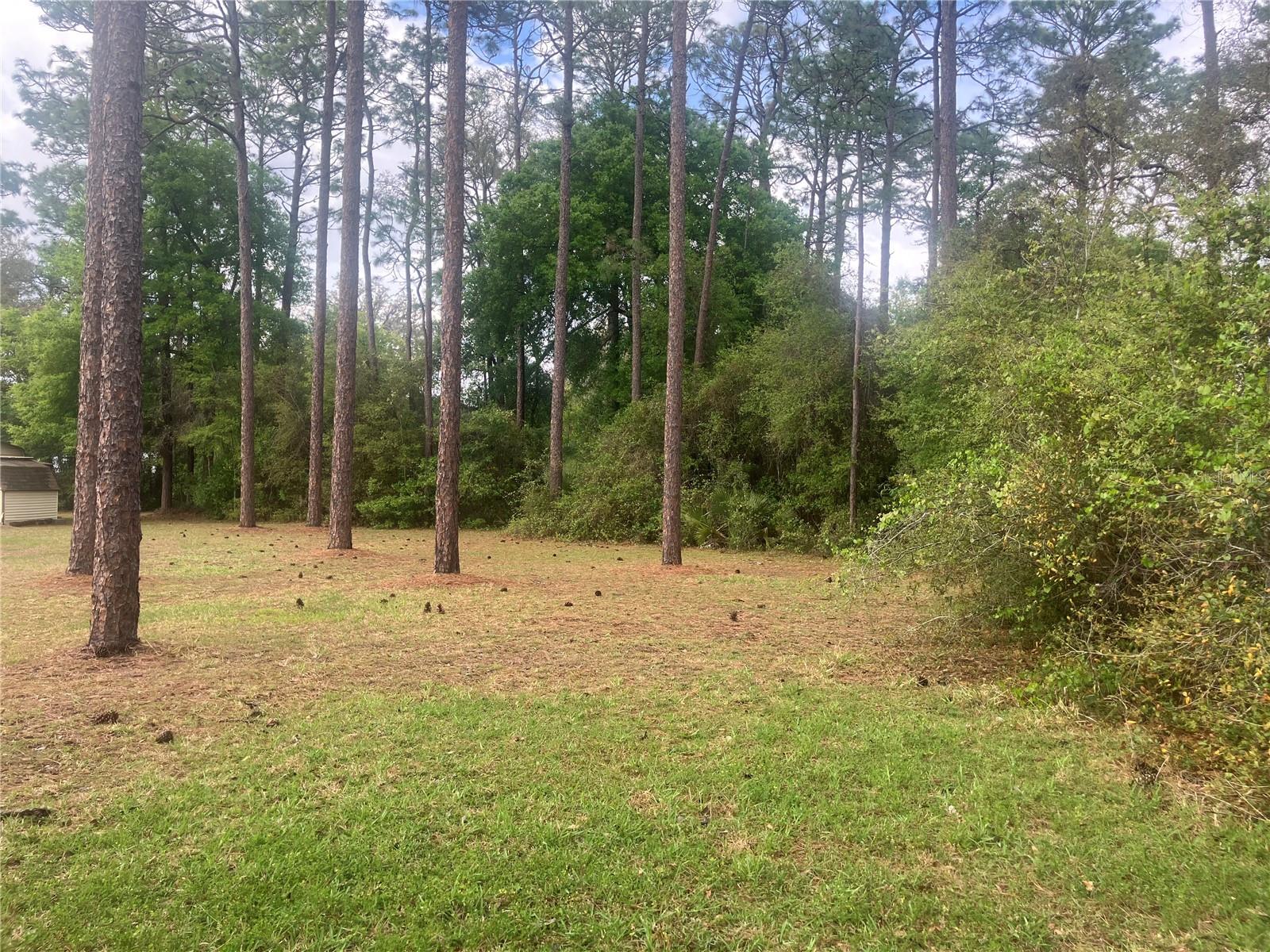 SE 19th Place SE 19TH PLACE, SILVER SPRINGS, FL, 34488