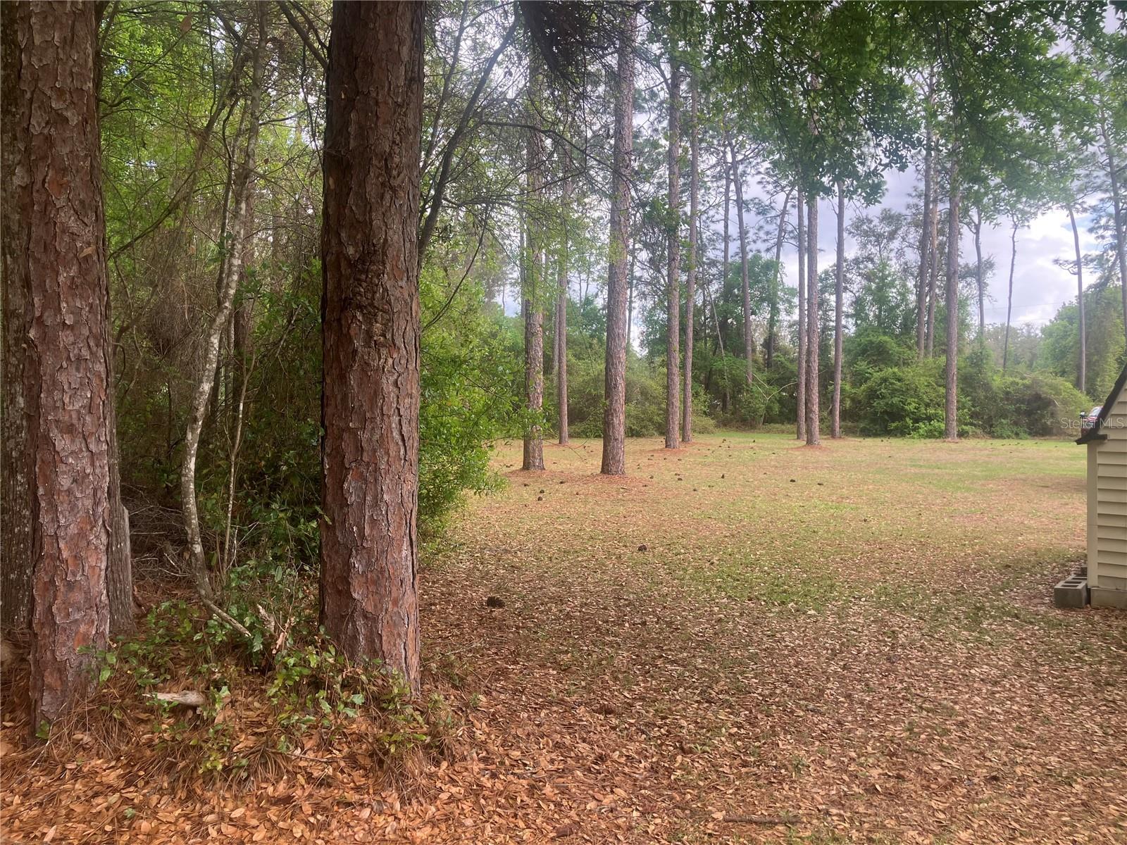 SE 19th Place SE 19TH PLACE, SILVER SPRINGS, FL, 34488