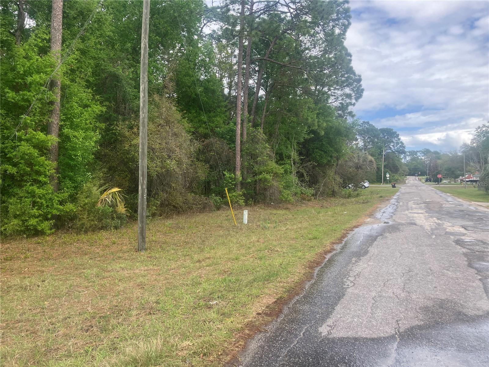 SE 19th Place SE 19TH PLACE, SILVER SPRINGS, FL, 34488