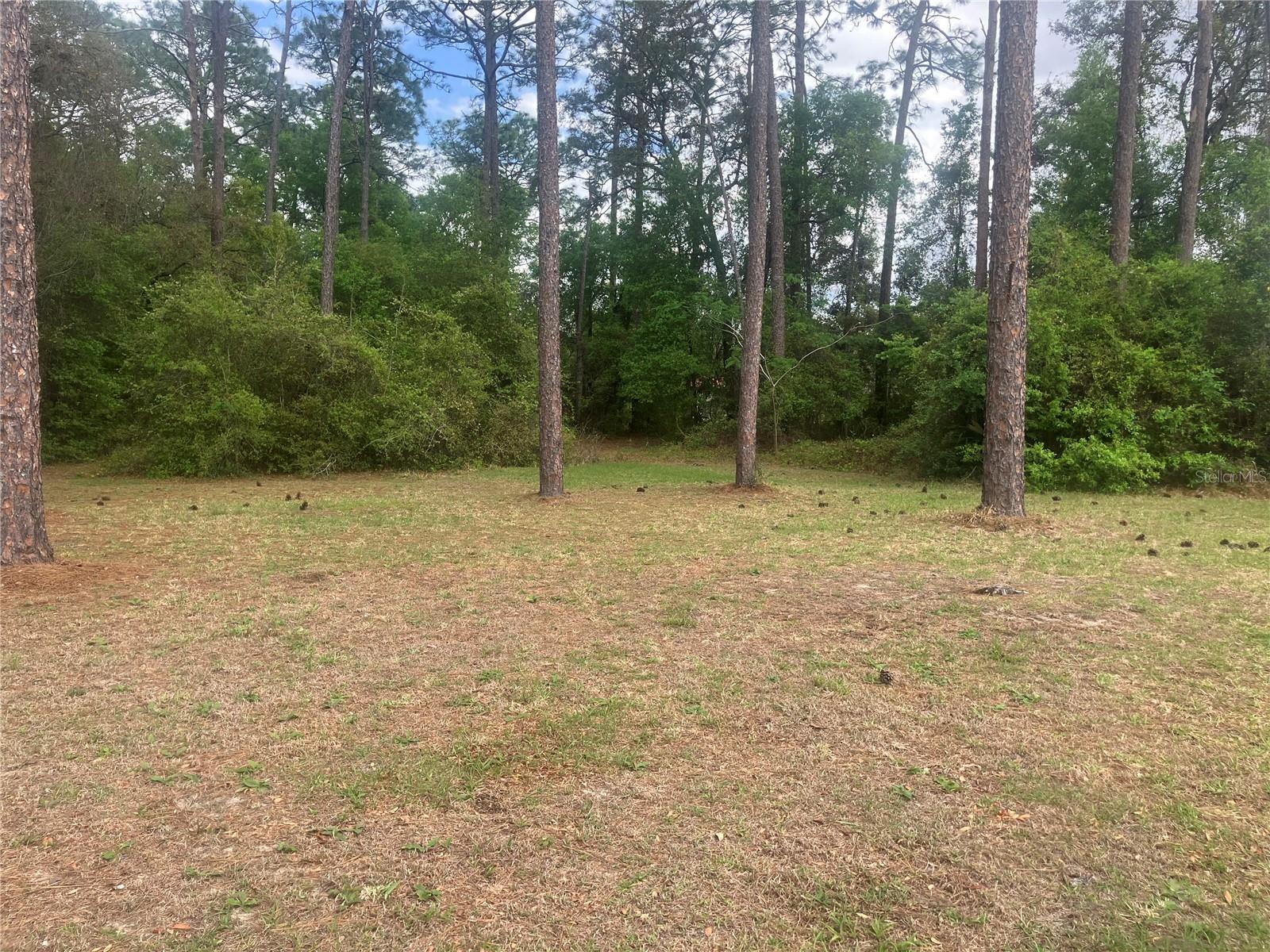 SE 19th Place SE 19TH PLACE, SILVER SPRINGS, FL, 34488