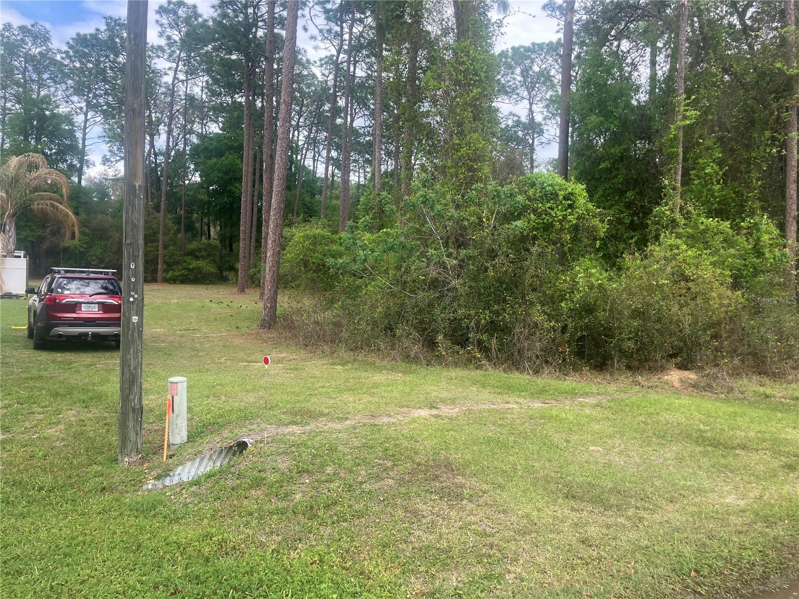 SE 19th Place SE 19TH PLACE, SILVER SPRINGS, FL, 34488