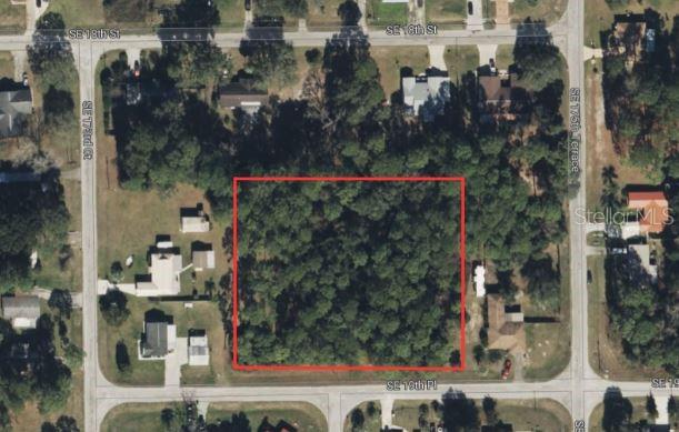 SE 19th Place SE 19TH PLACE, SILVER SPRINGS, FL, 34488