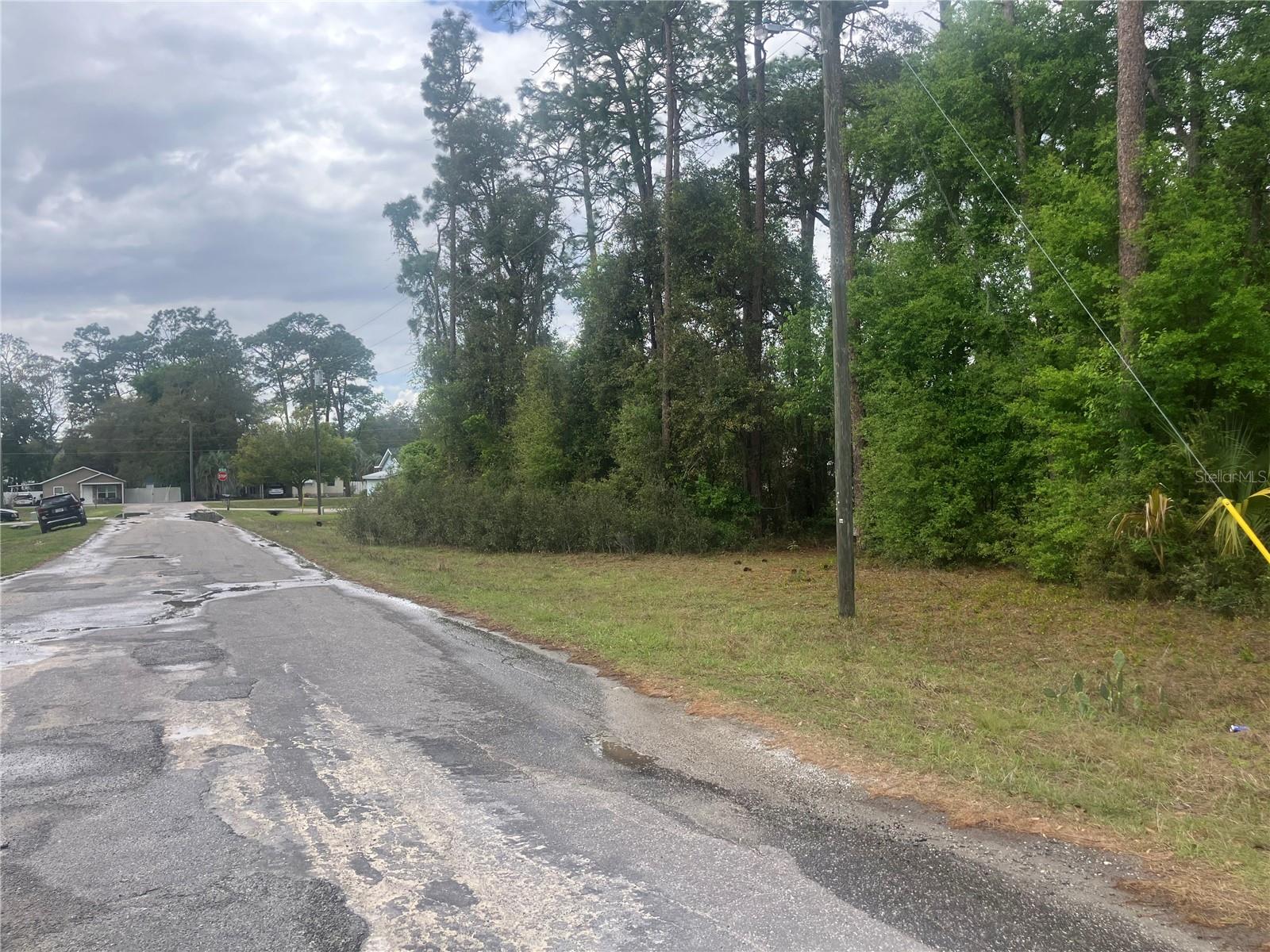SE 19th Place SE 19TH PLACE, SILVER SPRINGS, FL, 34488