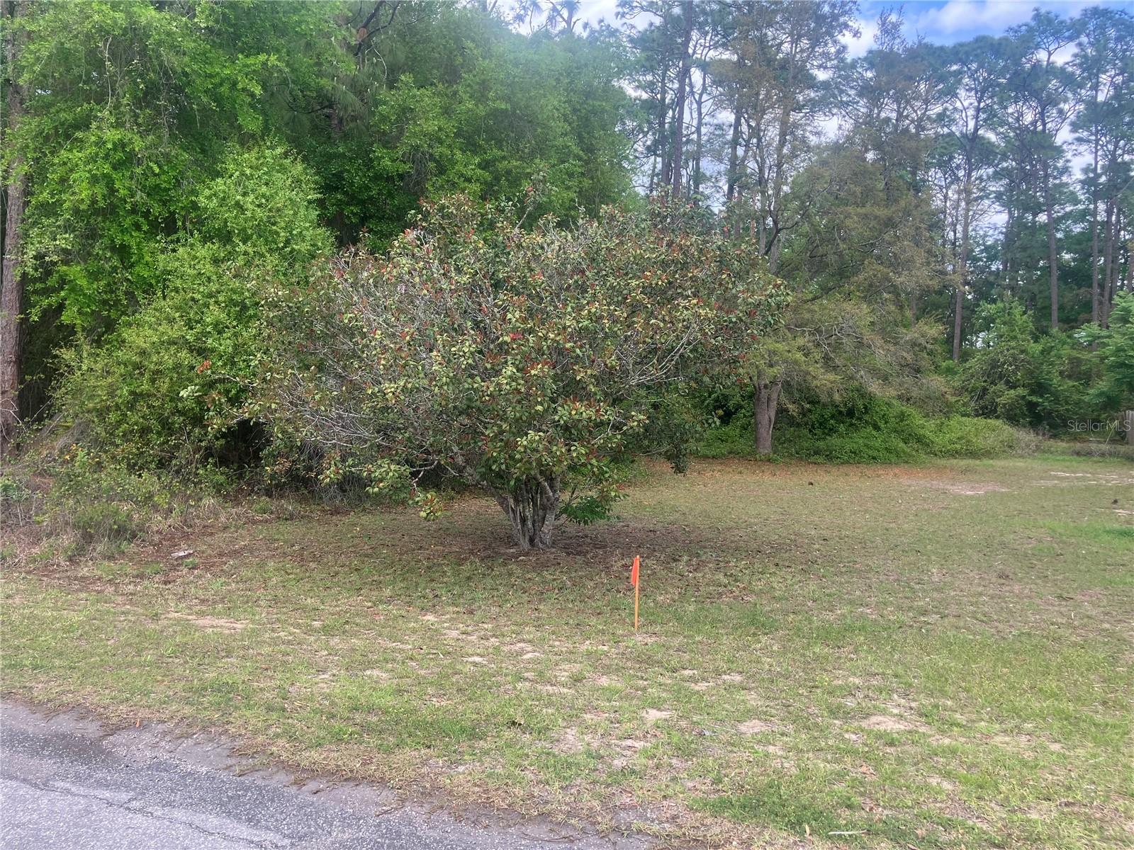 SE 19th Place SE 19TH PLACE, SILVER SPRINGS, FL, 34488