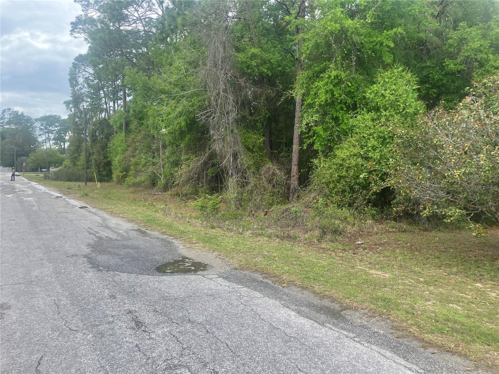 SE 19th Place SE 19TH PLACE, SILVER SPRINGS, FL, 34488