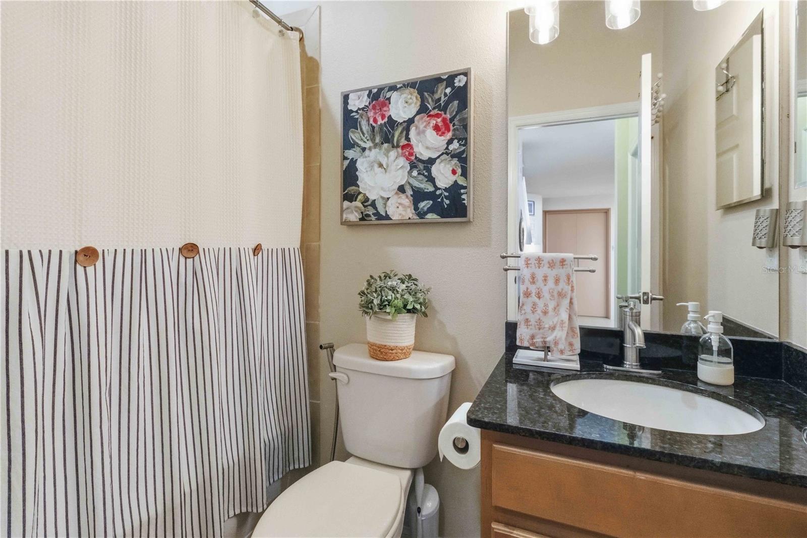 Downstairs guest bath.