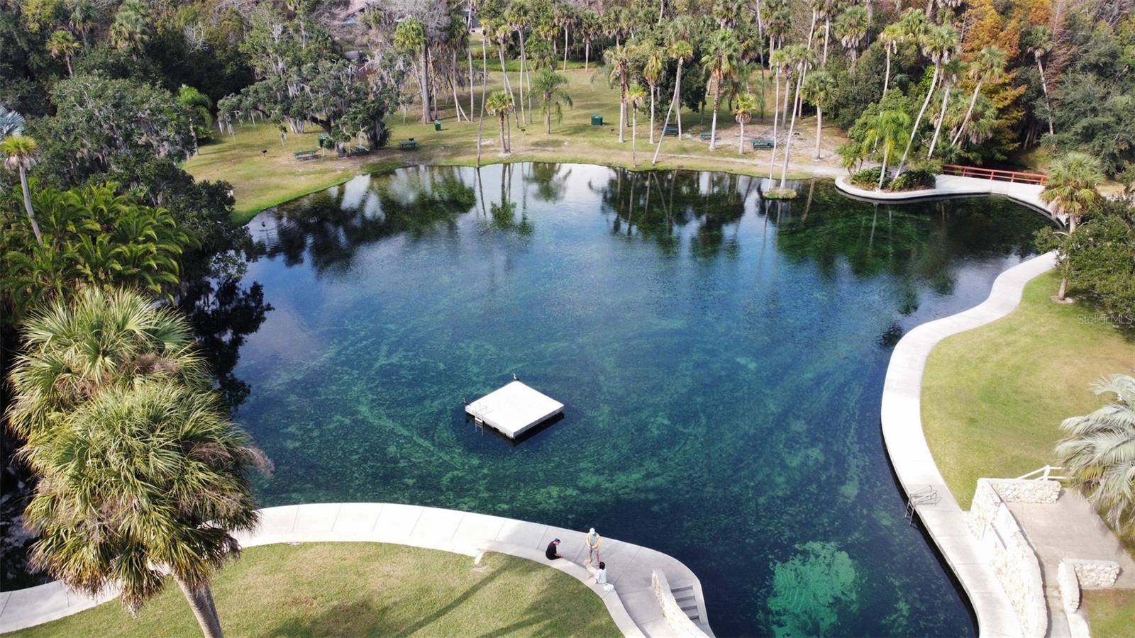 207 WEEPING ELM LN, LONGWOOD, FL, 32779