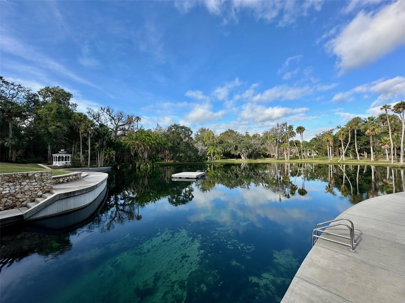 207 WEEPING ELM LN, LONGWOOD, FL, 32779