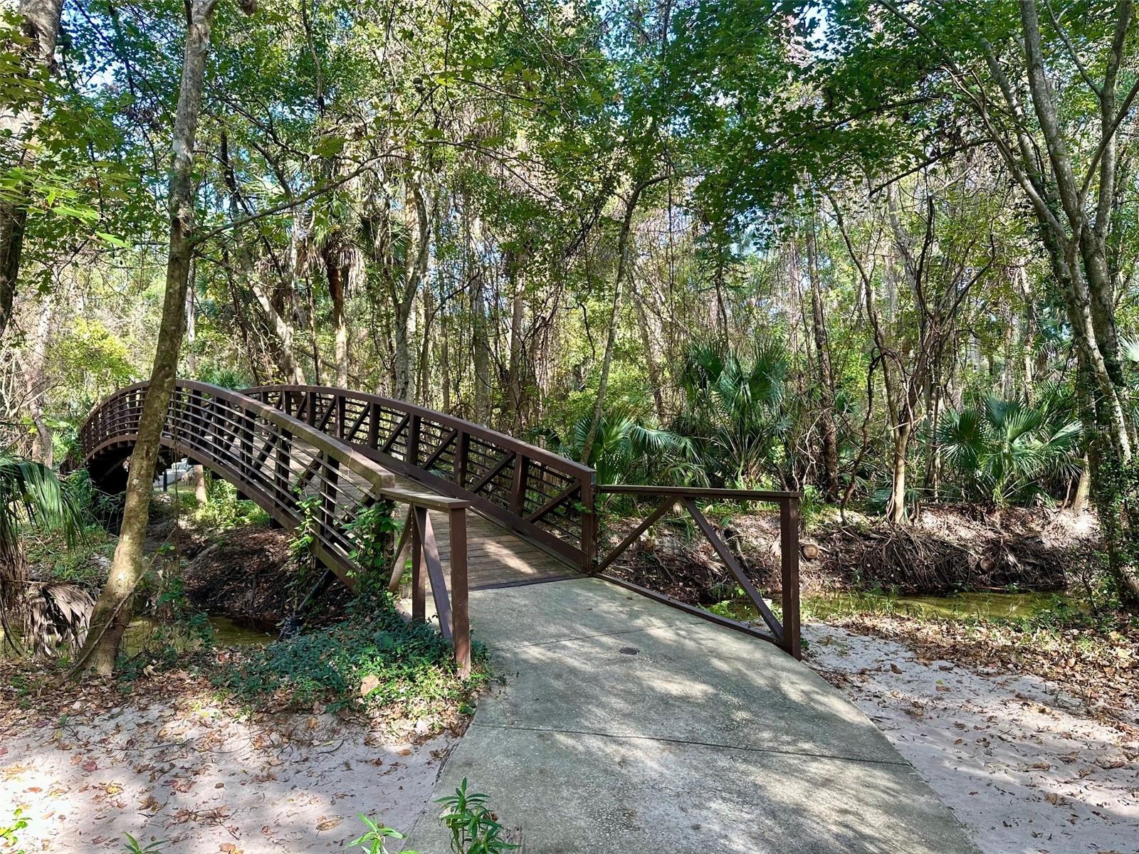 207 WEEPING ELM LN, LONGWOOD, FL, 32779