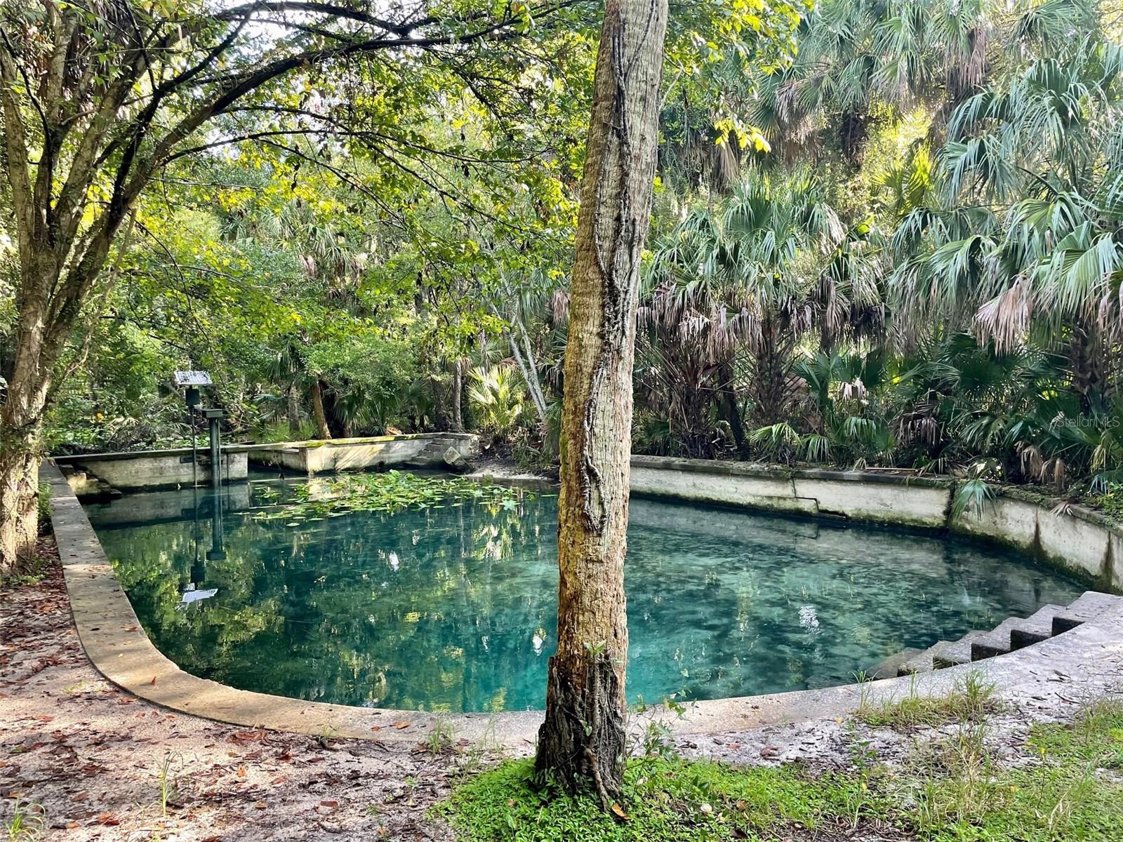 207 WEEPING ELM LN, LONGWOOD, FL, 32779