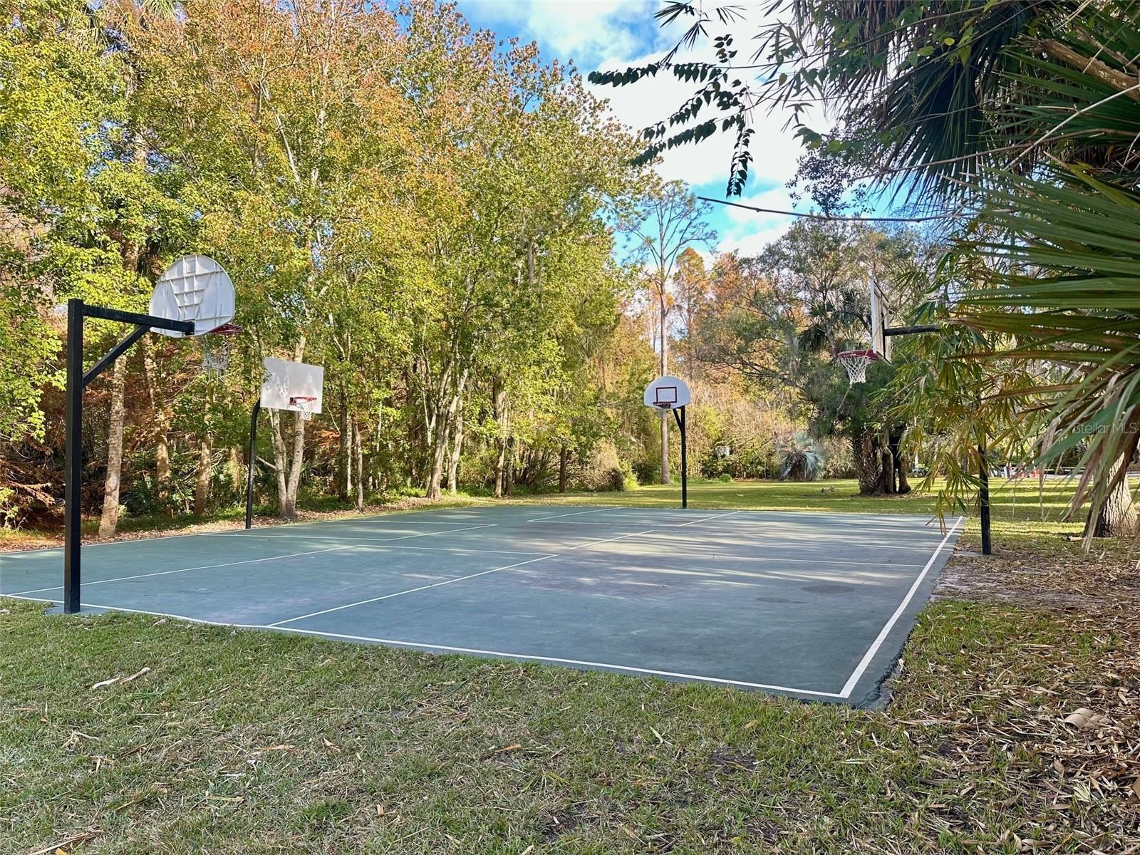 207 WEEPING ELM LN, LONGWOOD, FL, 32779