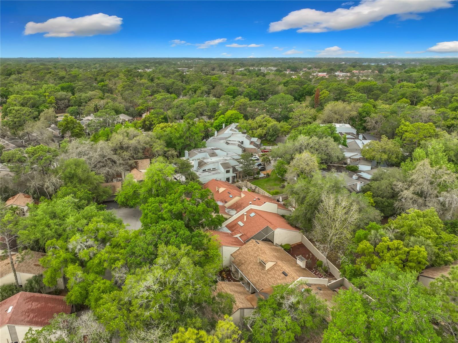 207 WEEPING ELM LN, LONGWOOD, FL, 32779