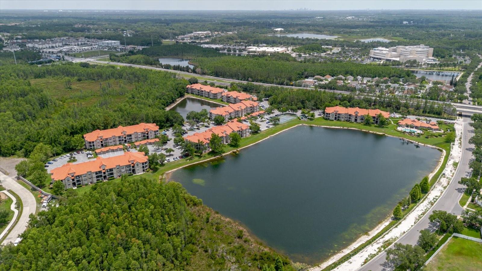 18107 PEREGRINES PERCH PL #6303, LUTZ, FL, 33558