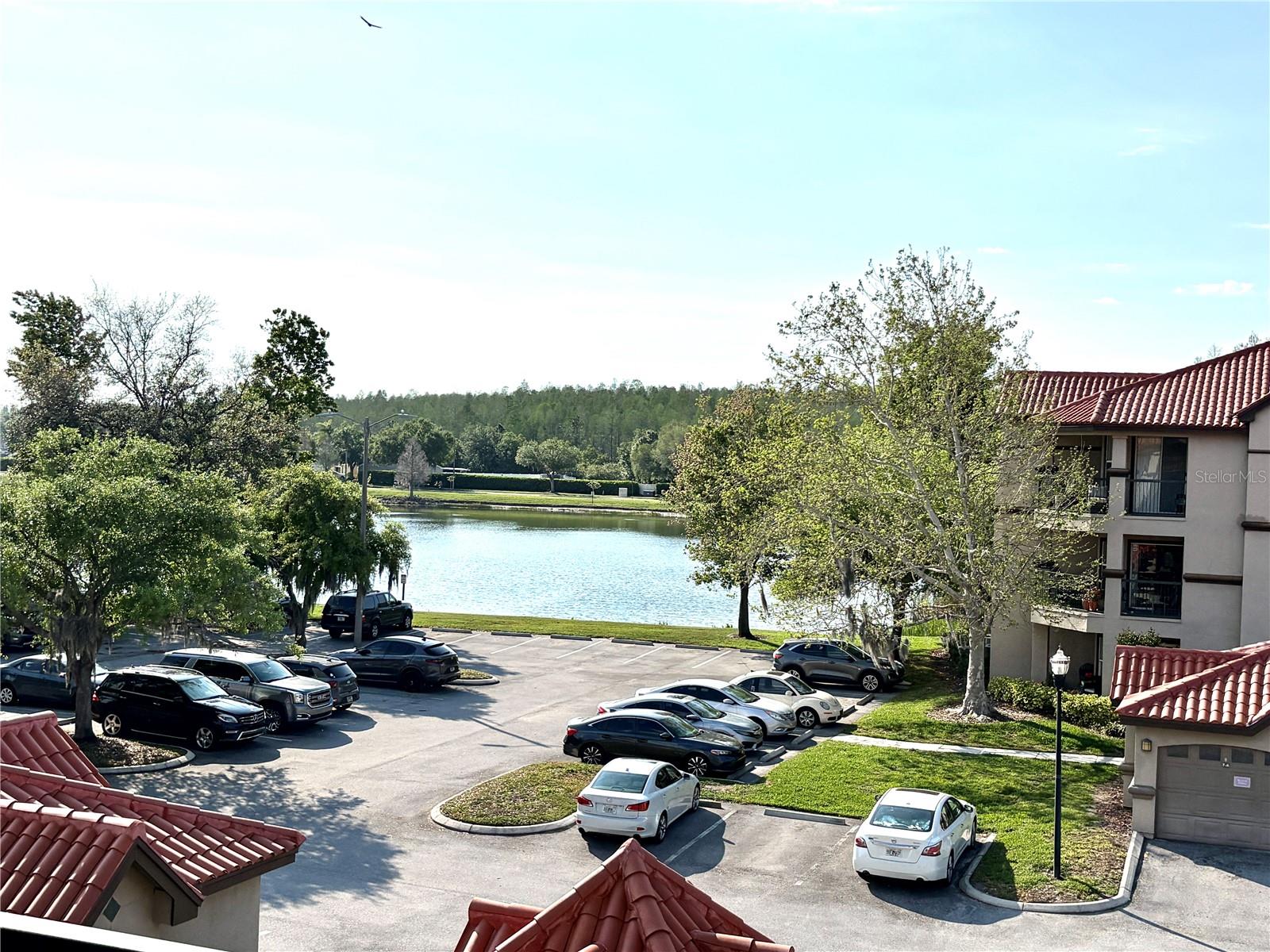 18107 PEREGRINES PERCH PL #6303, LUTZ, FL, 33558