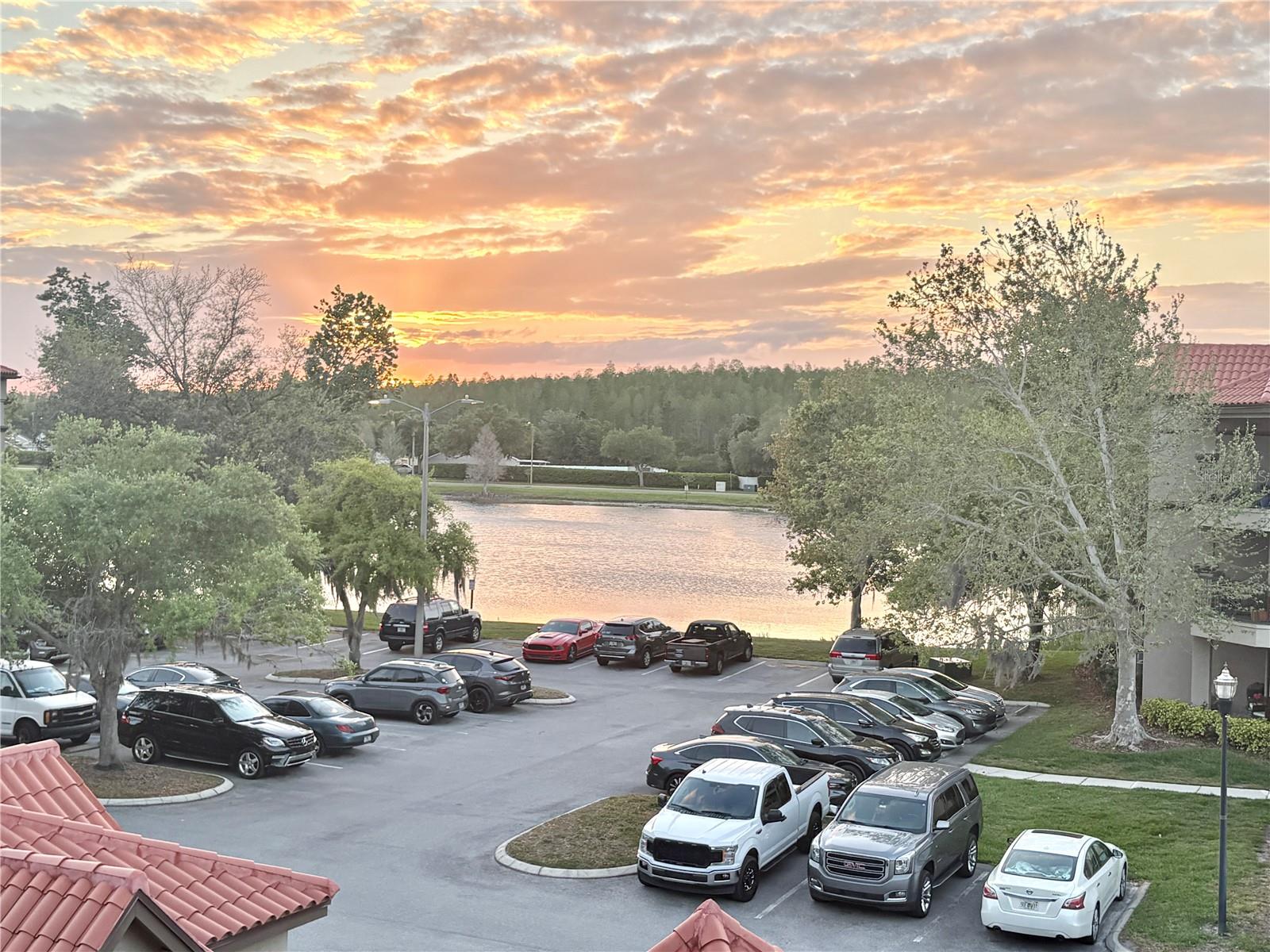 18107 PEREGRINES PERCH PL #6303, LUTZ, FL, 33558