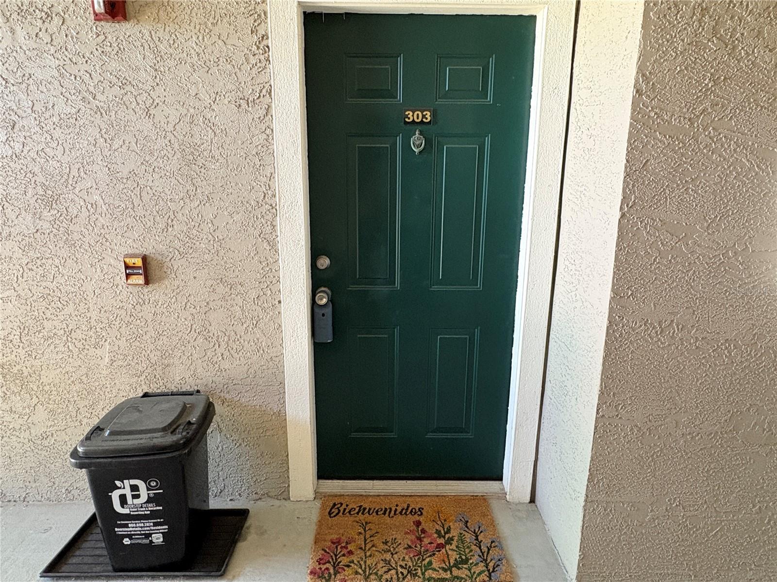 18107 PEREGRINES PERCH PL #6303, LUTZ, FL, 33558