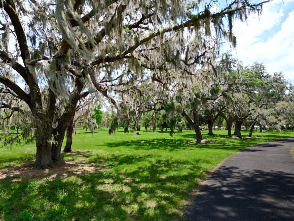 TBD SE 115TH ST, BELLEVIEW, FL, 34420