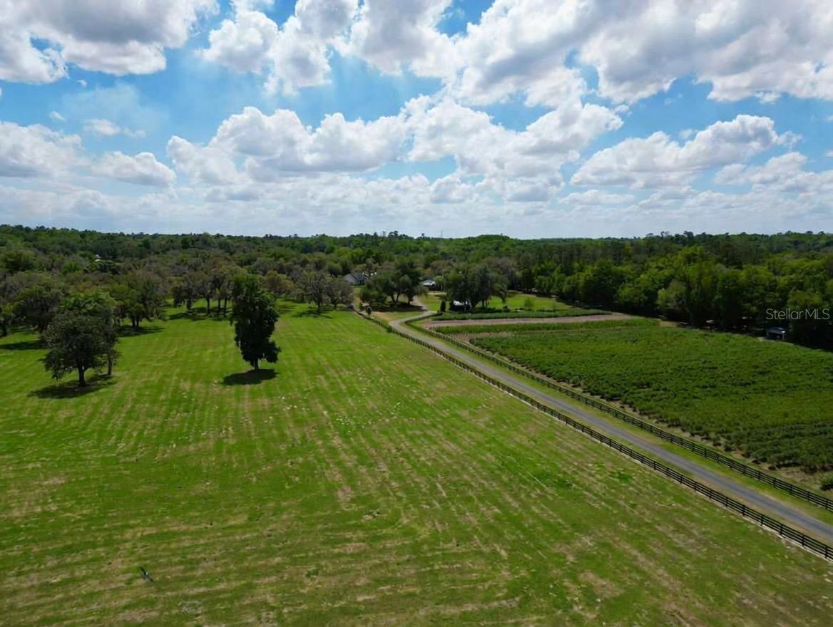 TBD SE 115TH ST, BELLEVIEW, FL, 34420