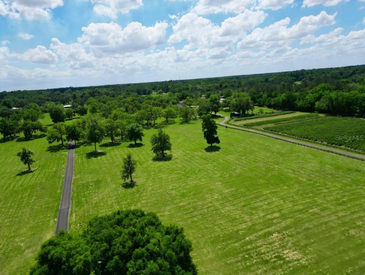 TBD SE 115TH ST, BELLEVIEW, FL, 34420