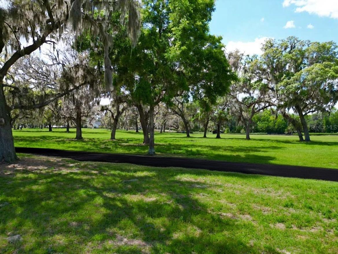 TBD SE 115TH ST, BELLEVIEW, FL, 34420
