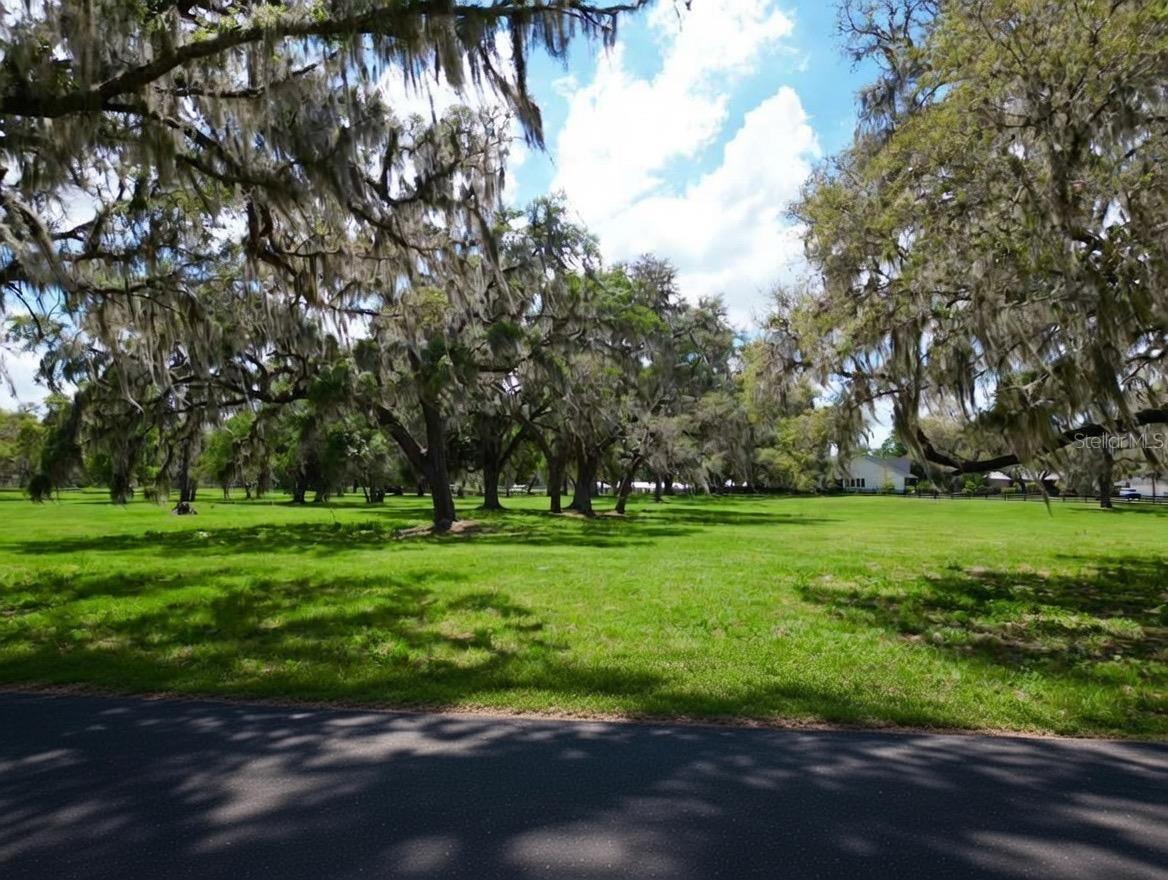 TBD SE 115TH ST, BELLEVIEW, FL, 34420
