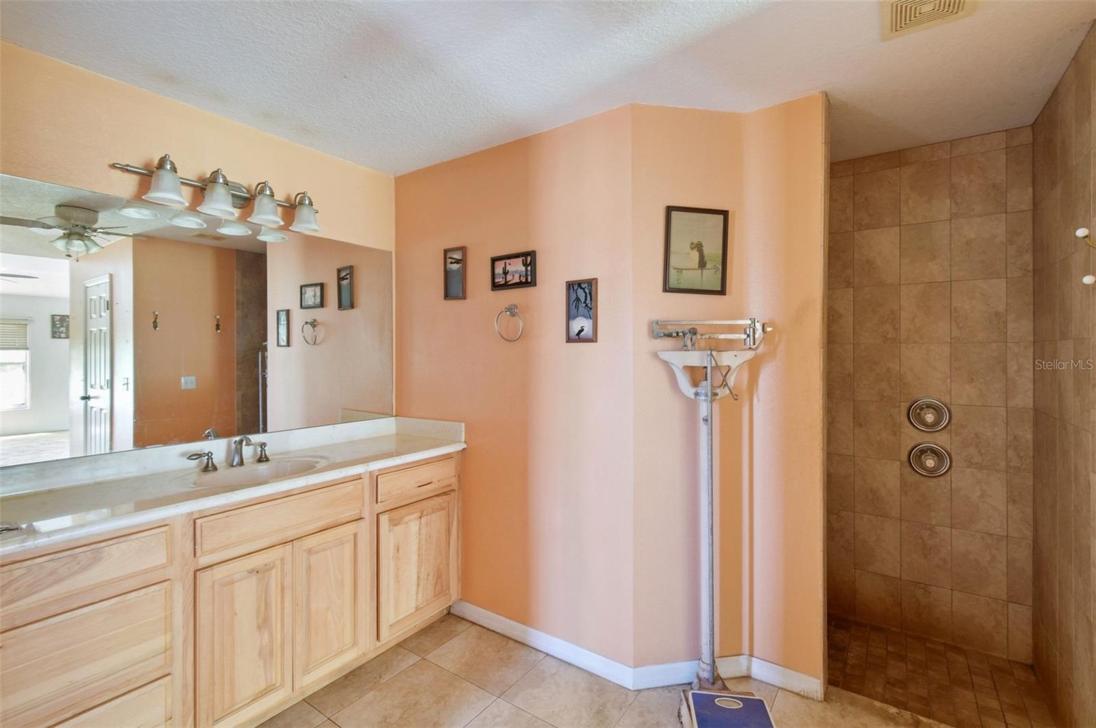 2700 WACCASSA ST, GENEVA, FL, 32732
