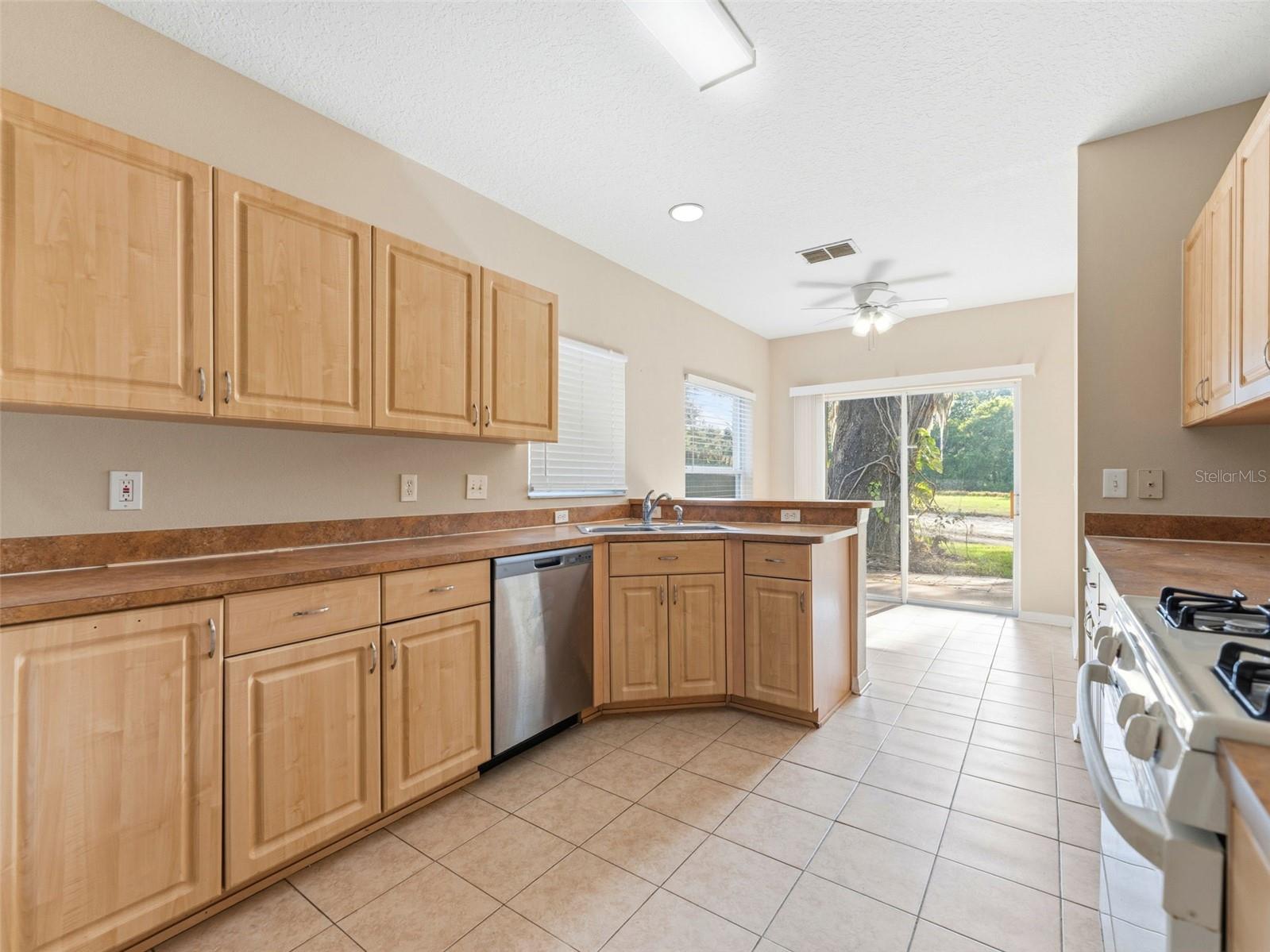 15123 DEER MEADOW DR, LUTZ, FL, 33559