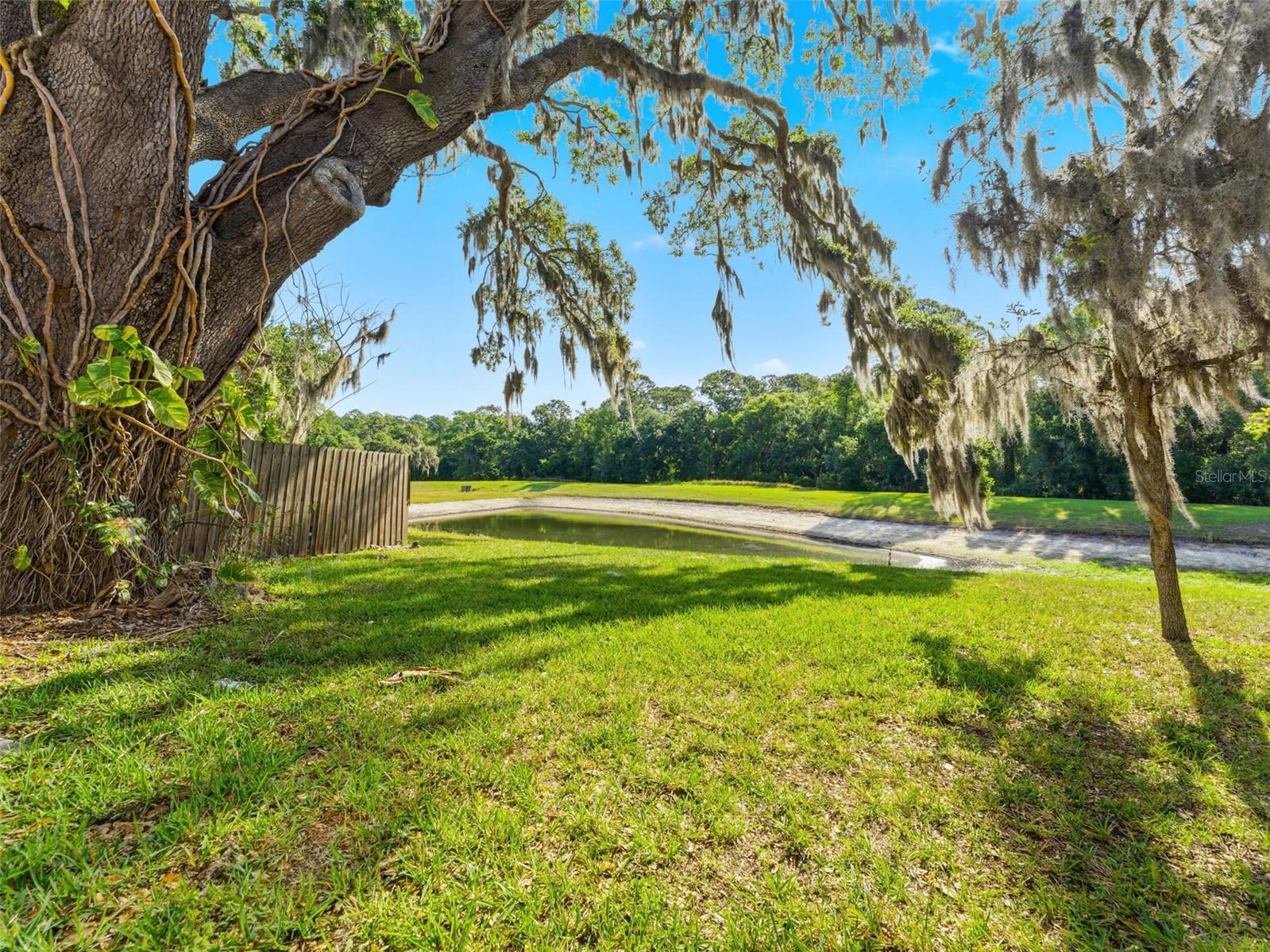 15123 DEER MEADOW DR, LUTZ, FL, 33559