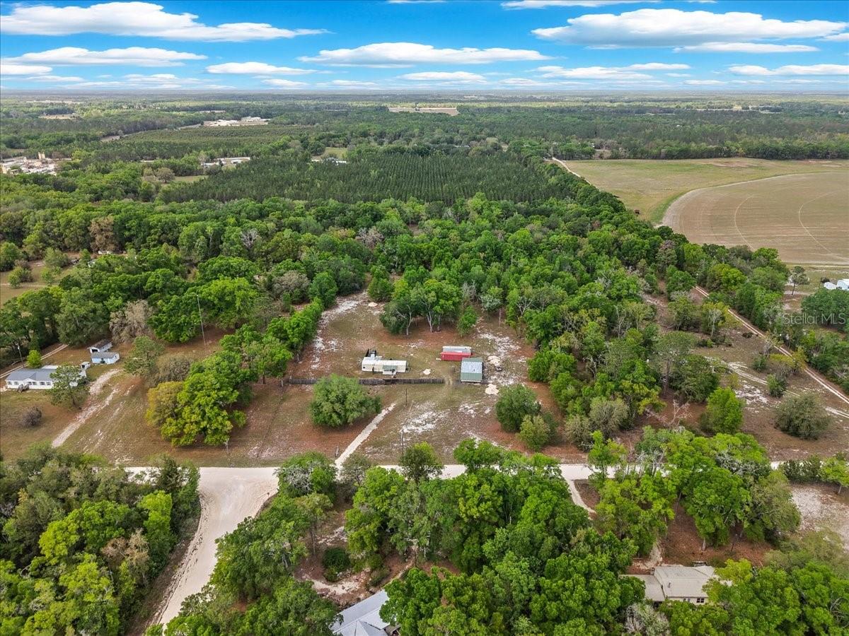 3100 NW 20TH ST, BELL, FL, 32619