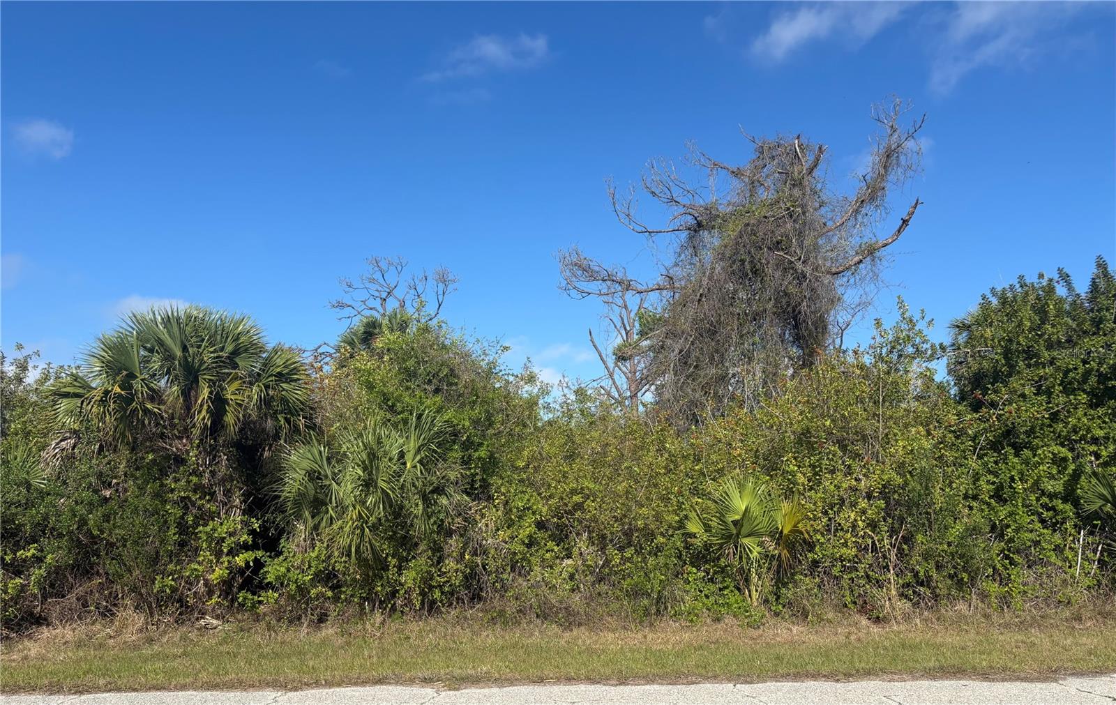 7091 EMBRY ST, PORT CHARLOTTE, FL, 33981