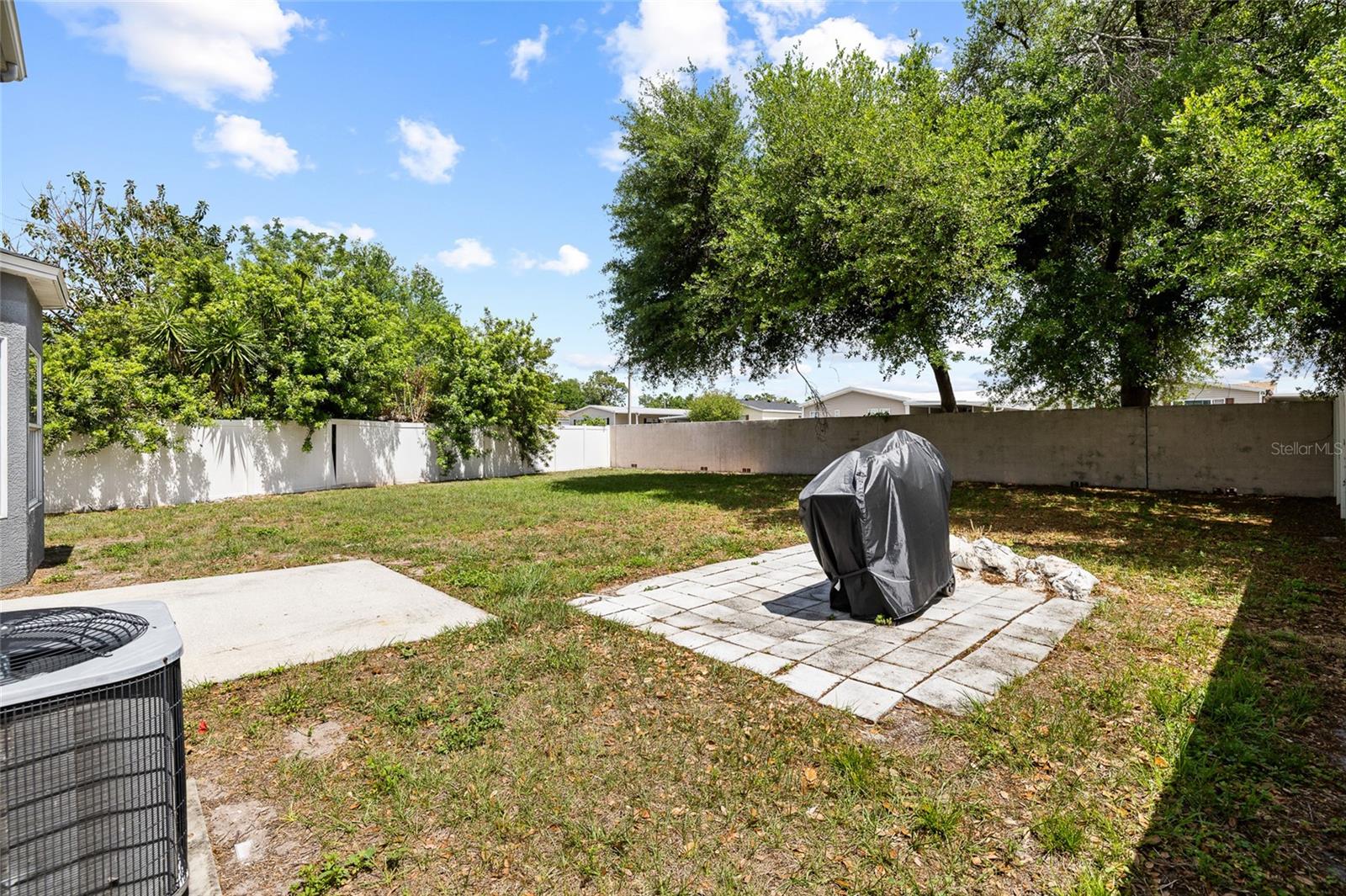 Open yard with no intruding trees
