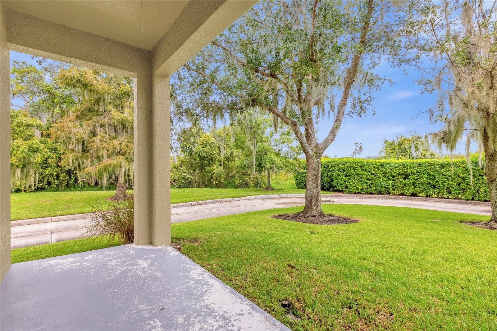 14217  BRIDGEWATER CROSSINGS BLVD, WINDERMERE, FL, 34786