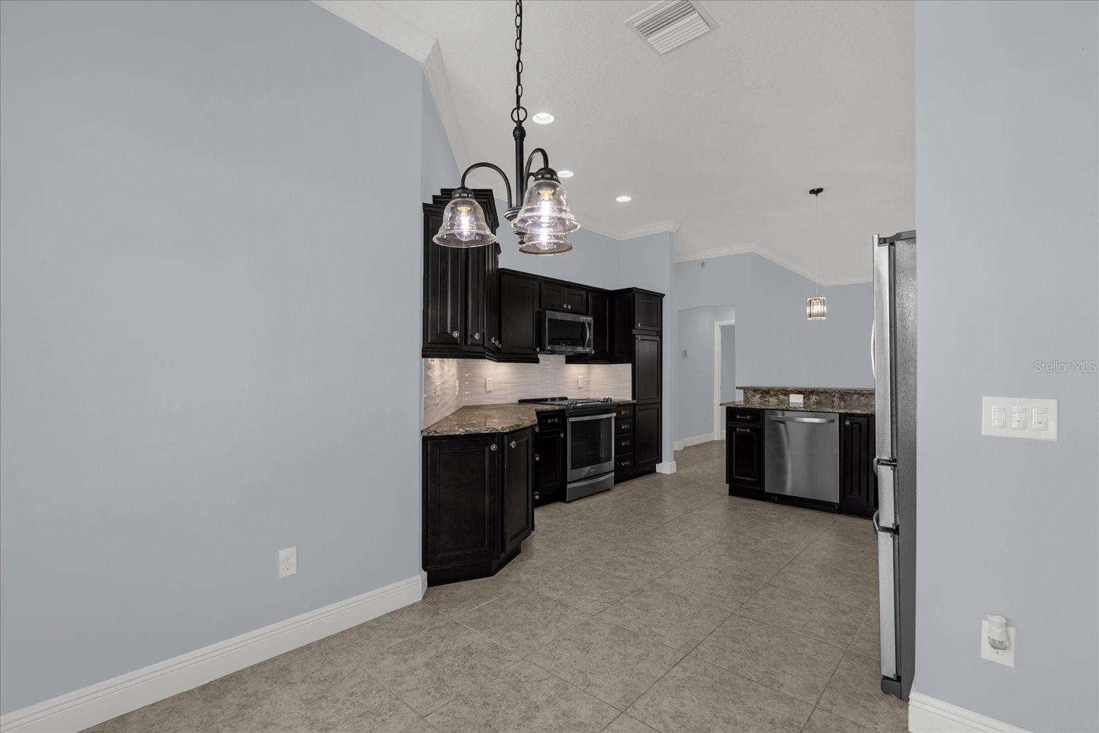 3984 MCDOWELL DR, THE VILLAGES, FL, 32163