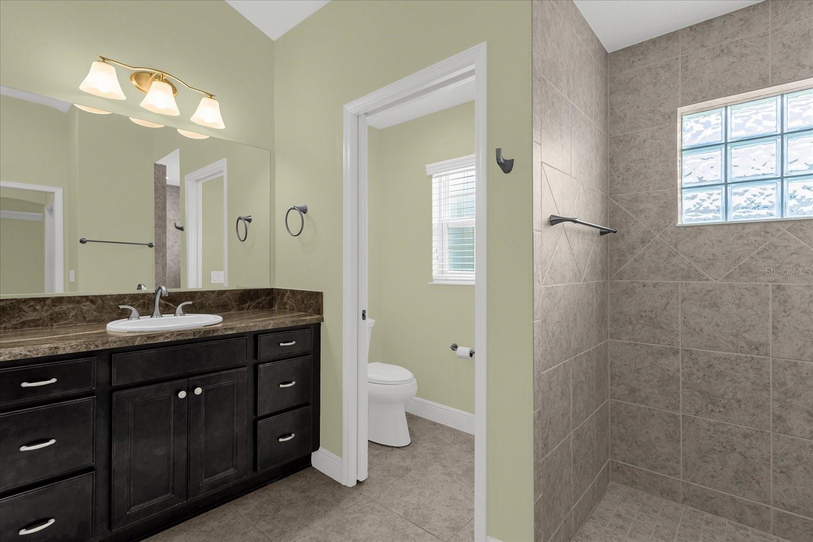 3984 MCDOWELL DR, THE VILLAGES, FL, 32163