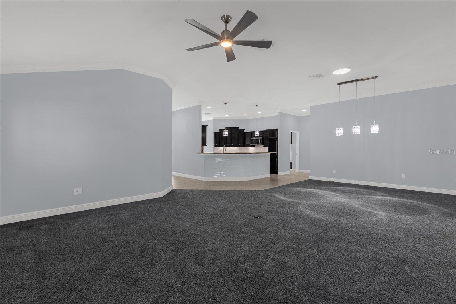 3984 MCDOWELL DR, THE VILLAGES, FL, 32163