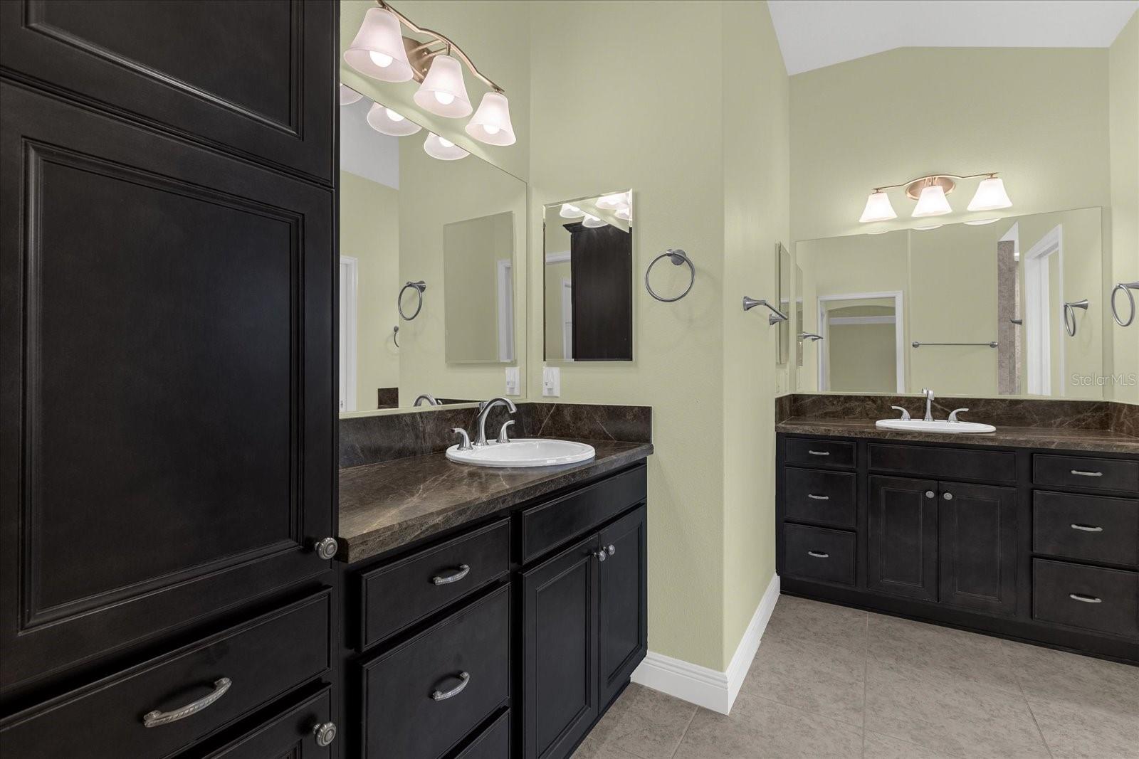 3984 MCDOWELL DR, THE VILLAGES, FL, 32163